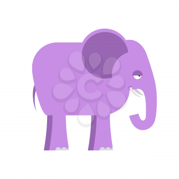 Purple elephant. Big cute animal. Animal from  jungle. Wild beast. Mammal with large trunk from Africa.
