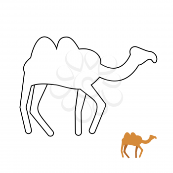 Camel coloring book. Desert animal vector illustration.
