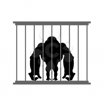 Gorilla in cage. Animal in  Zoo behind bars. Big and strong monkey in captivity. Dangerous wild animal in captivity.
