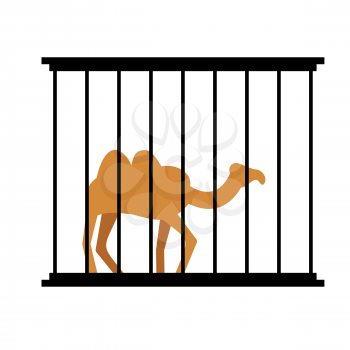 Camel in cage. Animal in Zoo behind bars. Desert wild animal in captivity. Beast people in captivity.

