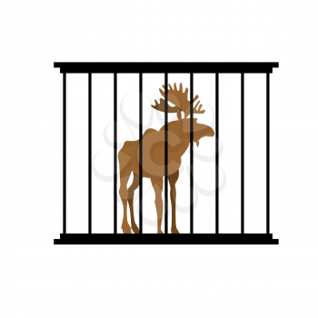 Deer in a cage. Animal in Zoo behind bars. Elk with large horns in captivity. Wild animal captive people.
