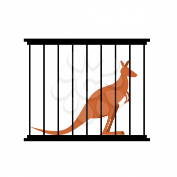Kangaroo in cage. Animal in Zoo behind bars. Australian wild animal in captivity. Animal captivity in humans.
