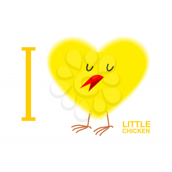 I love chicks. Yellow Symbol of heart from a small chicken. Vector illustration
