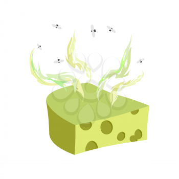 Cheese dorblu. Piece of cheese with a bad smell and flies. Vector illustration food delicacy
