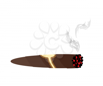 Cigar and smoke on a white background. An expensive Cuban cigar vector illustration

