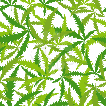 Marijuana, Cannabis seamless pattern. Vector background of leaves.
