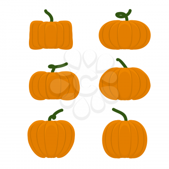 Set different pumpkins. Vegetables for Halloween.