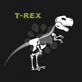 Skeleton tyrannosaurus Rex. Bones and skull of  dinosaur. Dead t-Rex. Ancient animal bones from Jurassic period.
