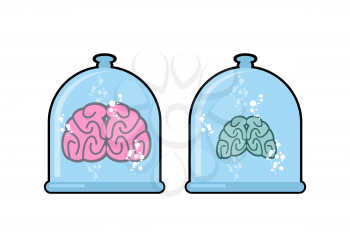 Human brain in laboratory flask for experiments. Human body in a closed glass dome. Two brains: a normal human and a fool. Vector illustration.
