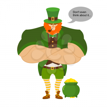Leprkeon and gold. Serious Powerful leprechaun protects pot full of gold coins. Strong midget leprechaun crossed on chest hands.  big Red Beard and pipe. Green frock coat and gaiters striped dresses. 