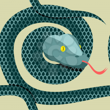 Snake seamless pattern. Longest reptile Python. Vector ornament  illustration.

