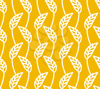 Wheat seamless pattern. Yellow spikelets ornament. Rye texture. Agro economic culture texture
