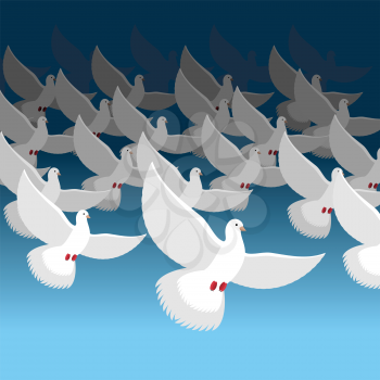 Flock of doves into sky. Blue cloud and white pigeons. flock of Flying birds. lot of white doves.
