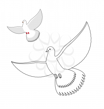White Dove coloring book. Flying white pigeon. Contour bird waving wings. Childrens coloring book with bird.
