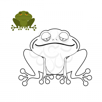 Frog coloring book. Funny amphibious reptile. Animal from  swamp. Green Toad.
