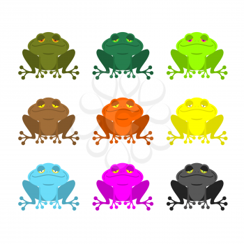 frog color Set . Colored toads. Woody Orange frog. Yellow and blue fantastic amphibious frog.
