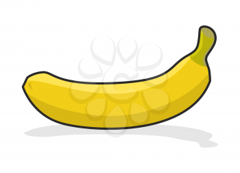 Yellow ripe banana on  white background. Tropical fresh fruit.
