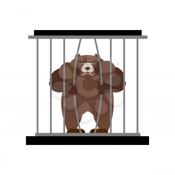 Bear in Zoo cage. Strong Scary wild animal in captivity. Large grizzly bear sitting behind bars. Animal wants to get out of  cage.