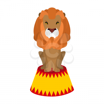 Circus lion. Wild cruel animal sitting on pedestal. Big Serious beast. Predator with shaggy mane on circus stand
