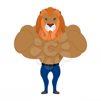 Strong Lion king of beasts. Wild animal athlete athlete. Leo fitness. Serious bodybuilder with  large mane. Huge muscles
