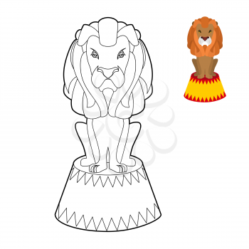 Circus lion coloring book. Big Serious animal in linear style. Wild cruel animal sitting on pedestal. Predator with shaggy mane on circus stand
