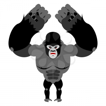 Angry gorilla on its hind legs. Aggressive Monkey on white background. Wild wrathful animal. Large ferocious predator. African strong beast