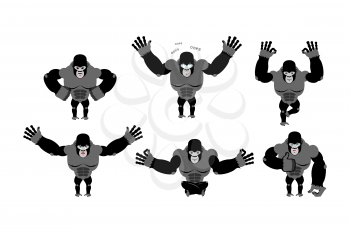 Gorilla set  poses. Expression of Emotions monkey. Wild beast and evil good. Sad and happy animal. Big strong predator in jungle
