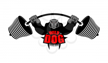 Strong dog and barbell. Aggressive sportsman big bulldog. Angry wild animal bodybuilder. Emblem for sports team
