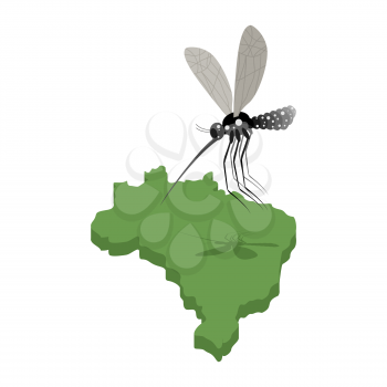 Mosquito and map of Brazil. Zika virus in Brazil. Mosquito attacked Brazil. Illustration for epidemic Zika. Disease Zika. Large mosquito
