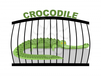 Crocodile in zoo. Large alligator in cage. Green aggressive predator in captivity