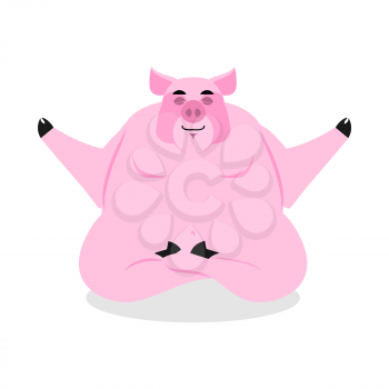 Pig meditating in lotus Pose. Animal yoga. Farm animal on white background. Condition of nirvana and enlightenment. 