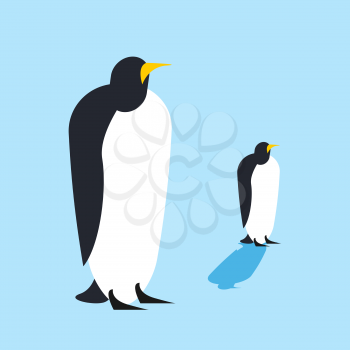 Penguin isolated. Arctic birds. Animal Antarctica Funa at the North Pole
