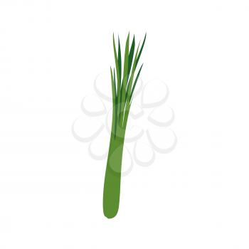 Green onions isolated. leek on white background. Vegetarian food
