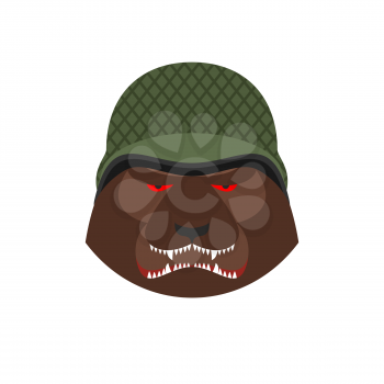 Angry bear in military helmet. Aggressive Grizzly head. Wild animal muzzle isolated. Forest predator
