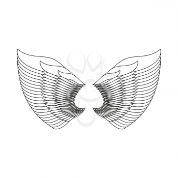 Angel Wings Isolated. White Feather wing of bird
