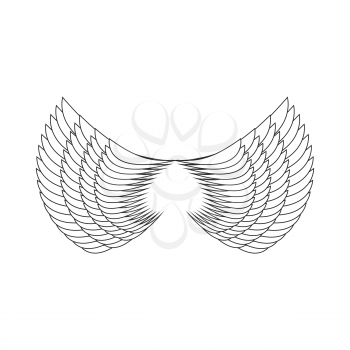 Angel Wings Isolated. White Feather wing of bird
