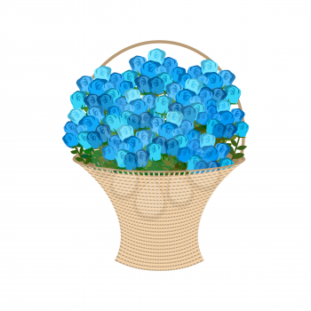 Blue roses Basket. large bouquet of flowers isolated
