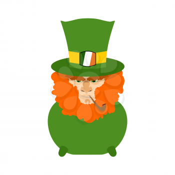 Leprechaun with red beard in pot. St. Patricks Day character. Irish holiday
