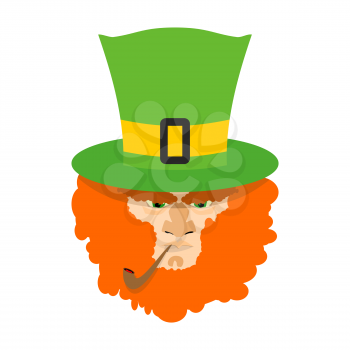 Leprechaun with red beard. St. Patricks Day character. Irish holiday
