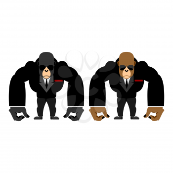 Gorilla bouncer. Big strong animal guard. Monkey in black suit bodyguard
