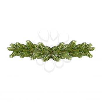 Spruce branches isolated. Christmas and New Year accessory