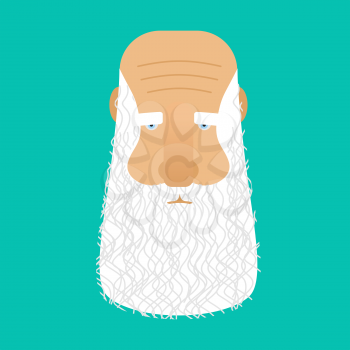 Grandfather with gray beard face isolated. head Old man. Retired with mustache
