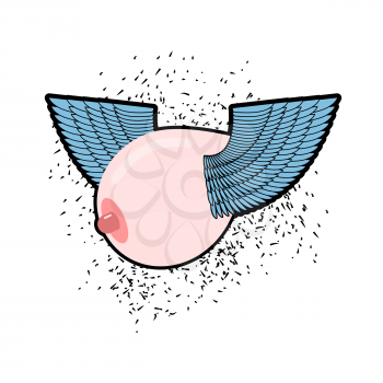 Boobs with wings. Flying tit. Sorority logo. Female bosom emblem. Breast sign
