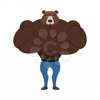 Strong Bear with big muscles. Powerful wild beast bodybuilder. Forest animals in jeans. Athlete monster with big biceps