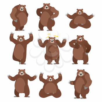 Bear set on white background. Grizzly various poses. Expression of emotions. Wild animal yoga. Eevil and good. Sad and happy animal. Big strong predator thumbs up
