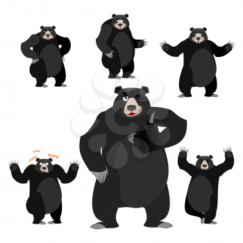 Baribal American black bear set. Grizzly various poses. Expression of emotions. Wild animal yoga. Evil and the good. Sad and happy animal. Large predator strong thumbs up