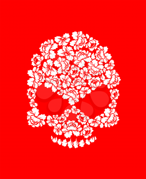 Floral skull on red background. White roses and skeleton head. Beautiful flora skull
