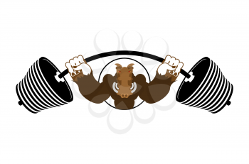 Strong angry boar warthog. Wild boar and barbell. Emblem for sports team