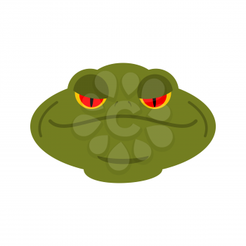 Frog head isolated. face of toad. Amphibian animal
