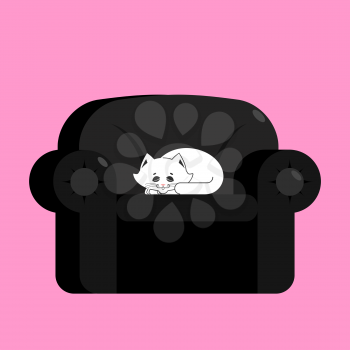 White cat on black armchair. Home pet on chair
